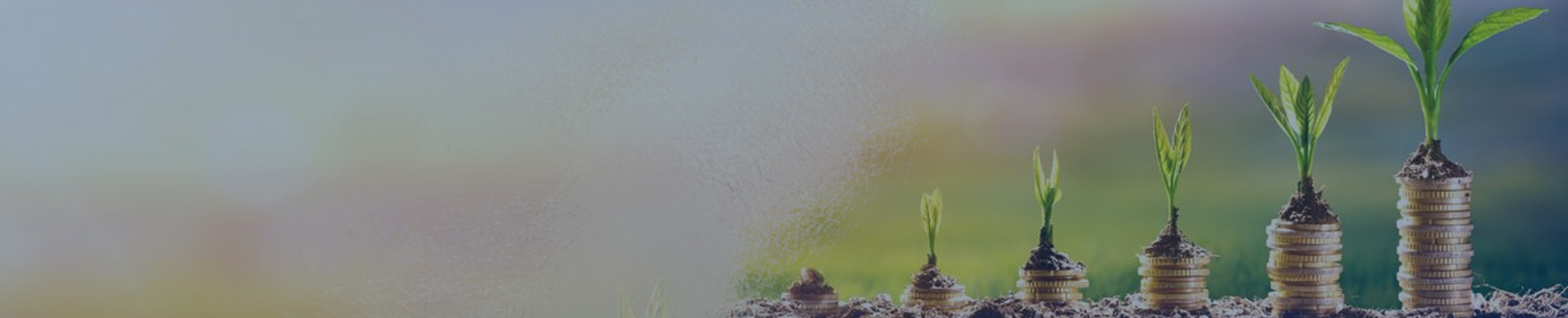 Mutual Fund Banner